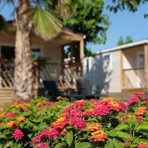 https://camping-el-pinar.topcostabravahotels.com